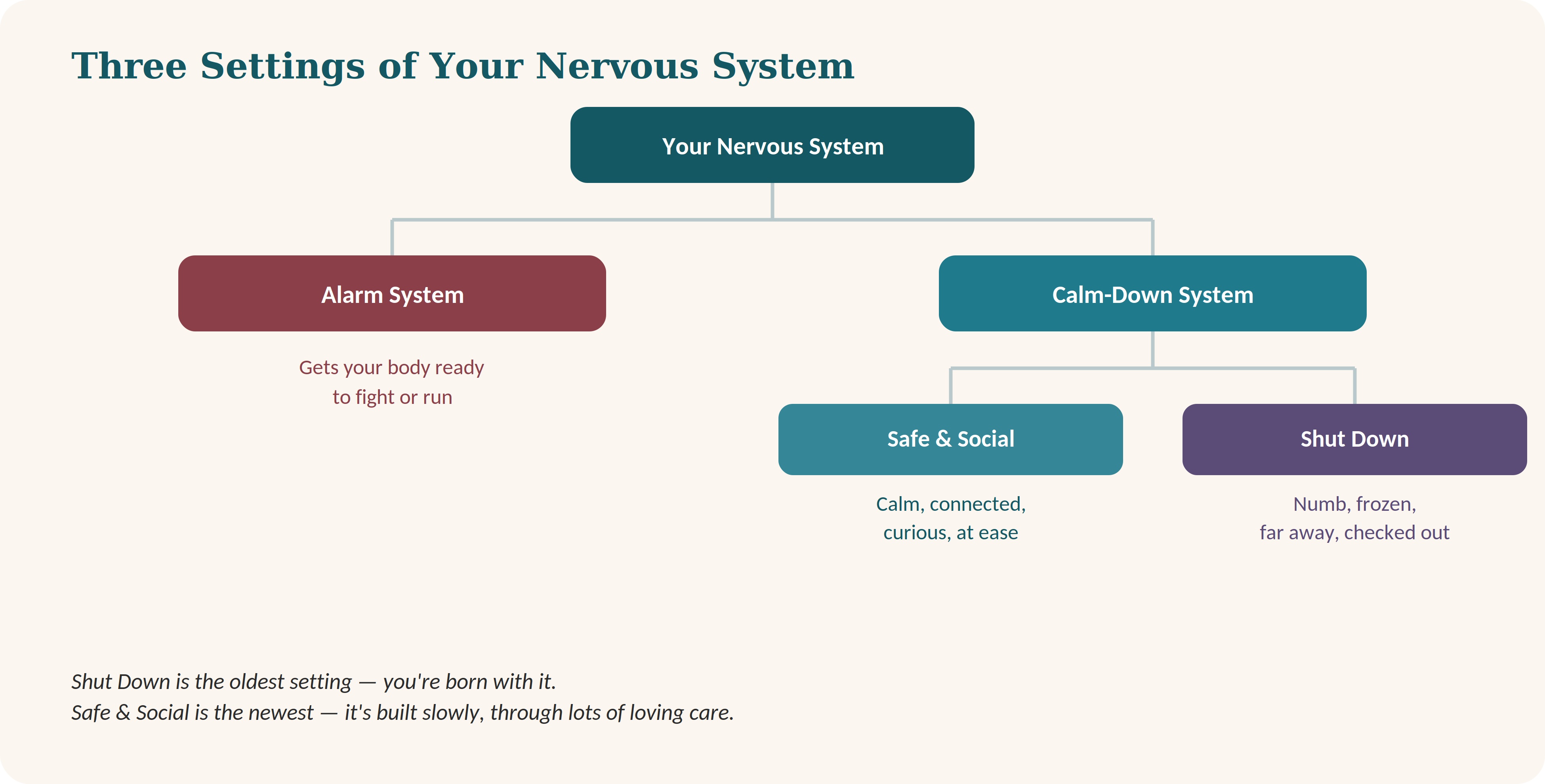 1 Three Settings of Your Nervous System