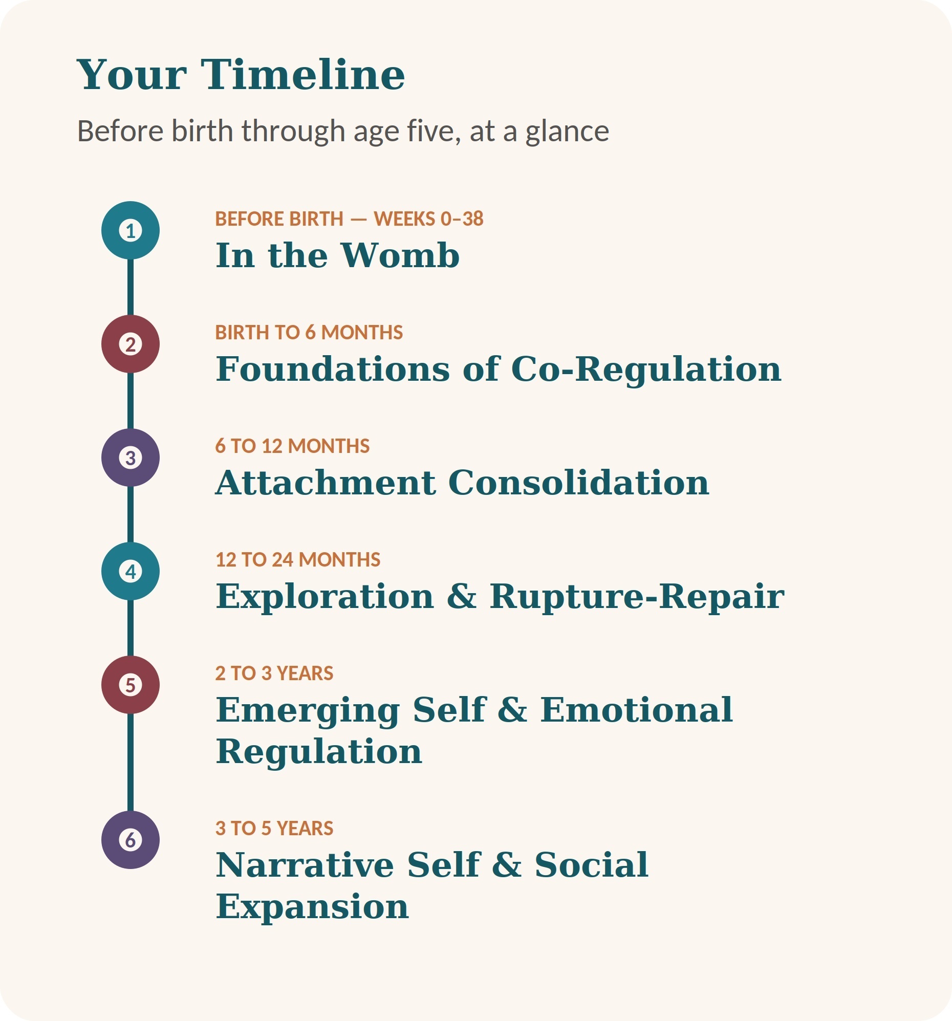 5 Your Developmental Timeline compact notext